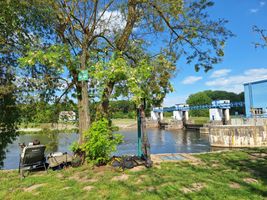 Labe 20 pod elektrárnou v Hradištku 9.5.24 (3).jpg